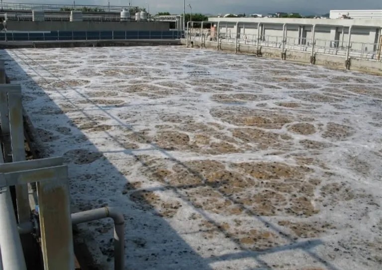 Project Image 1